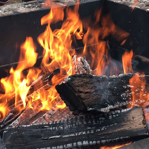 Fuoco Legno Carbonella