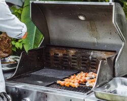 Barbecue a gas senza roccia lavica: il barbecue meno pratico in assoluto